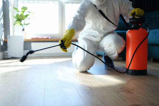 Reliable Hoarding Cleanup contractor in Belleville, MI by Crime Scene Cleaner Online